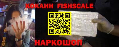 индика Камышлов