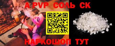 индика Камышлов