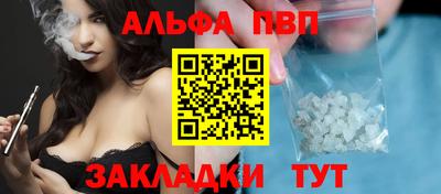индика Камышлов