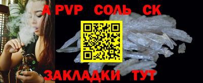 индика Камышлов