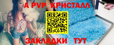 индика Камышлов