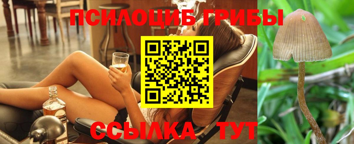 Галлюциногенные грибы GOLDEN TEACHER  Вход с VPN  Алапаевск  Галлюциногенные грибы Cubensis 